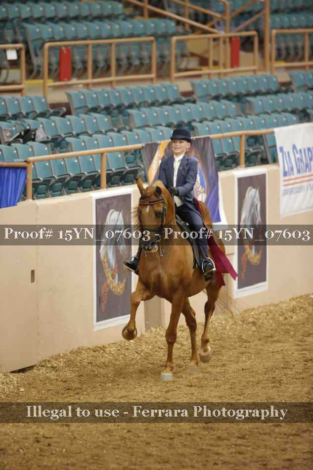 Proof 15YN_07603