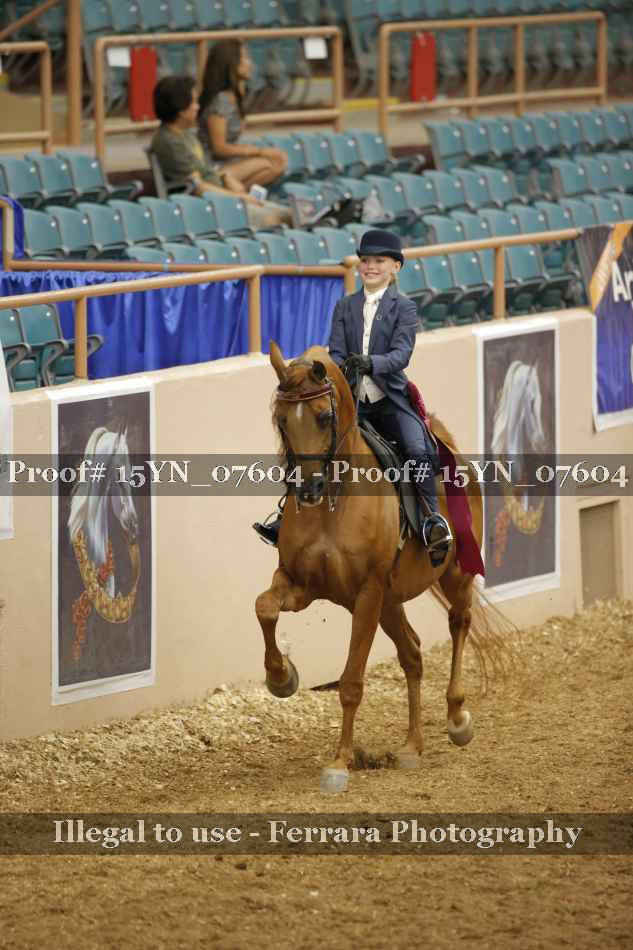 Proof 15YN_07604