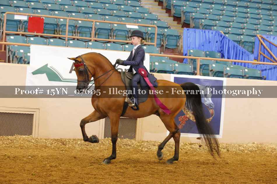 Proof 15YN_07605