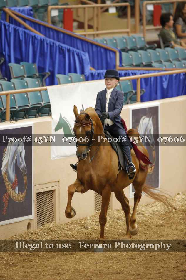 Proof 15YN_07606