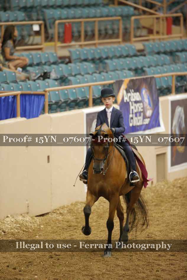 Proof 15YN_07607