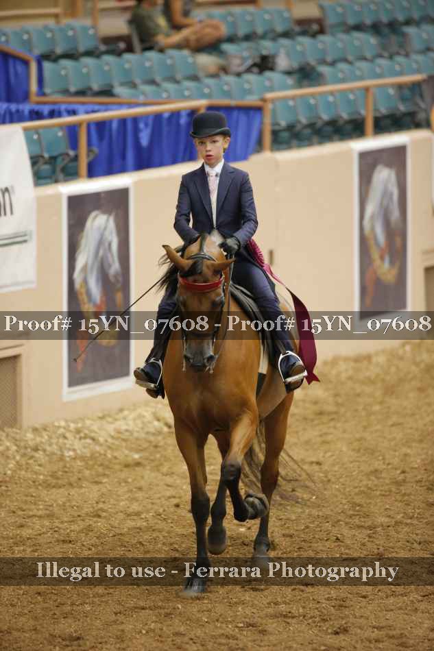 Proof 15YN_07608