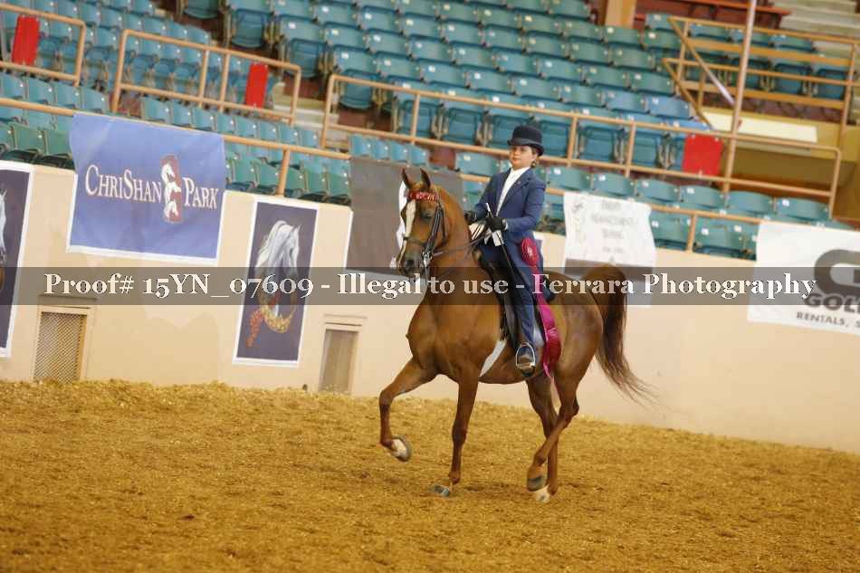 Proof 15YN_07609