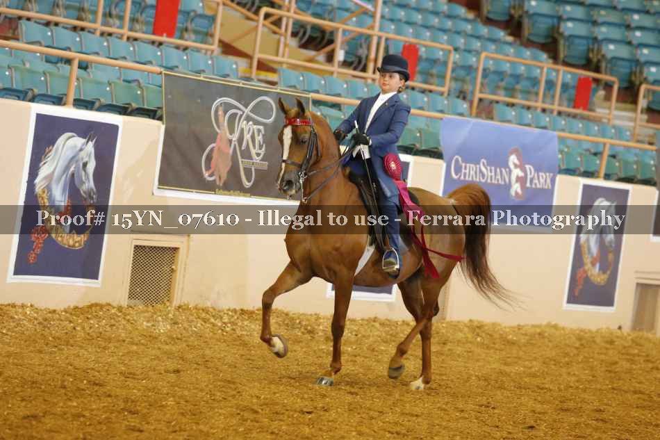 Proof 15YN_07610