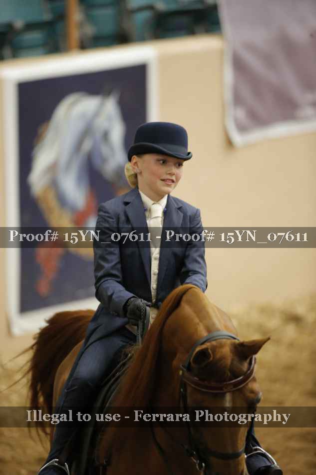 Proof 15YN_07611