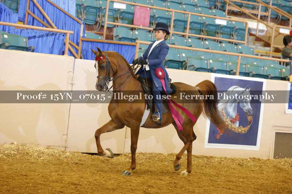 Proof 15YN_07615