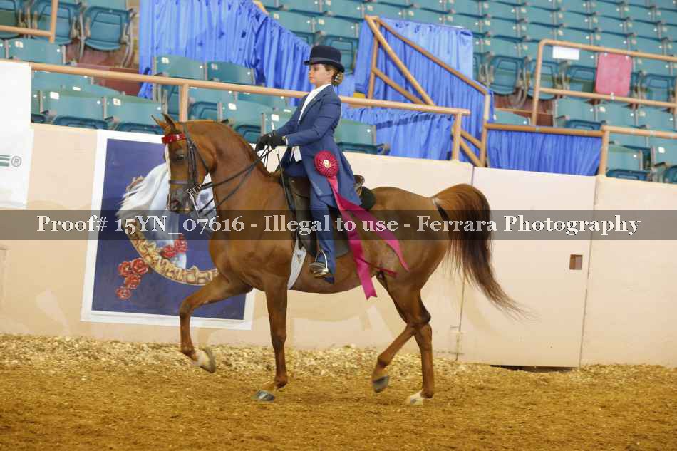 Proof 15YN_07616
