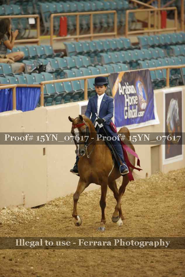 Proof 15YN_07617