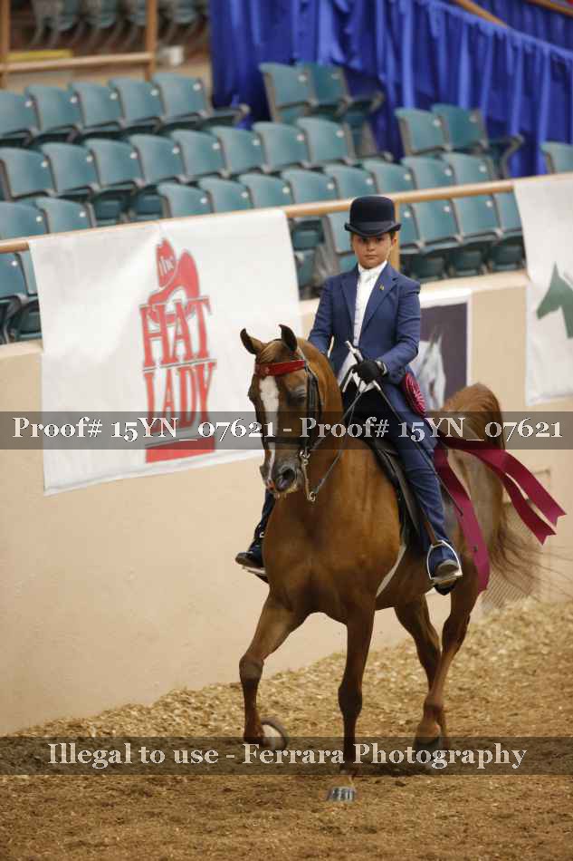 Proof 15YN_07621