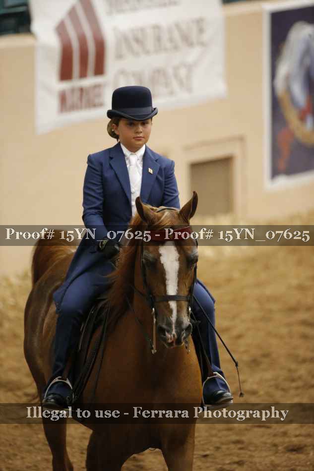 Proof 15YN_07625