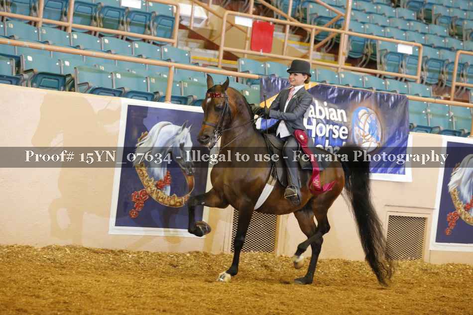 Proof 15YN_07634