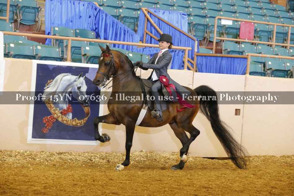 Proof 15YN_07636