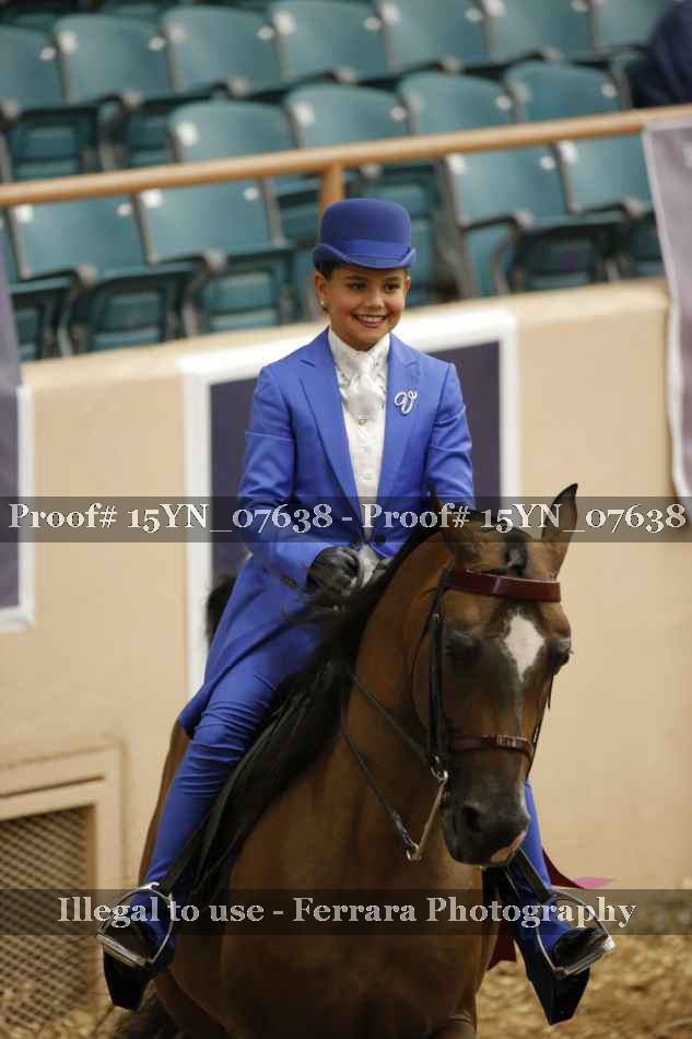 Proof 15YN_07638