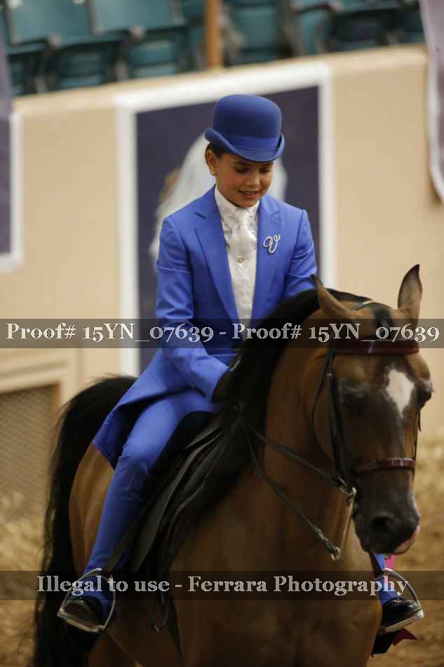 Proof 15YN_07639