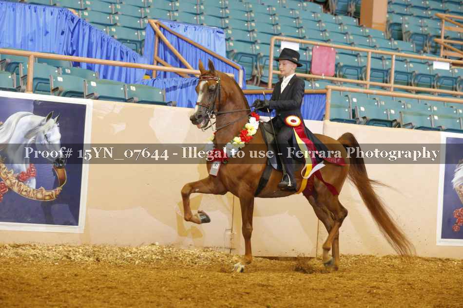Proof 15YN_07644