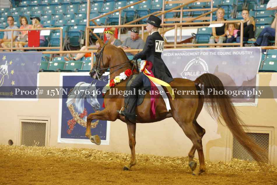 Proof 15YN_07646
