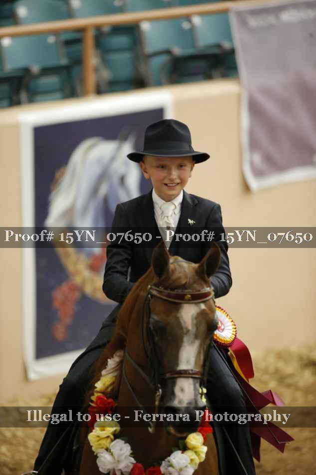 Proof 15YN_07650