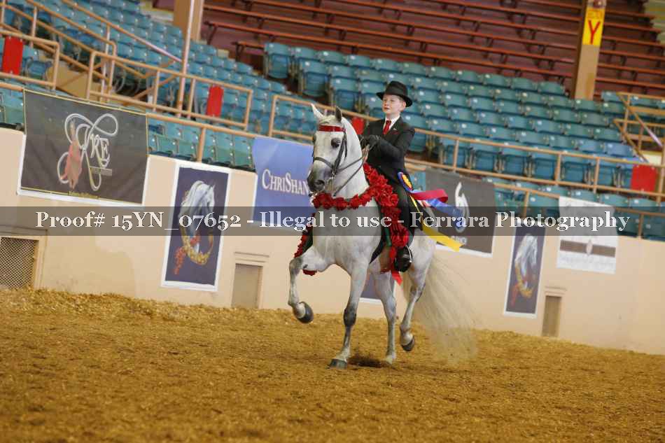 Proof 15YN_07652