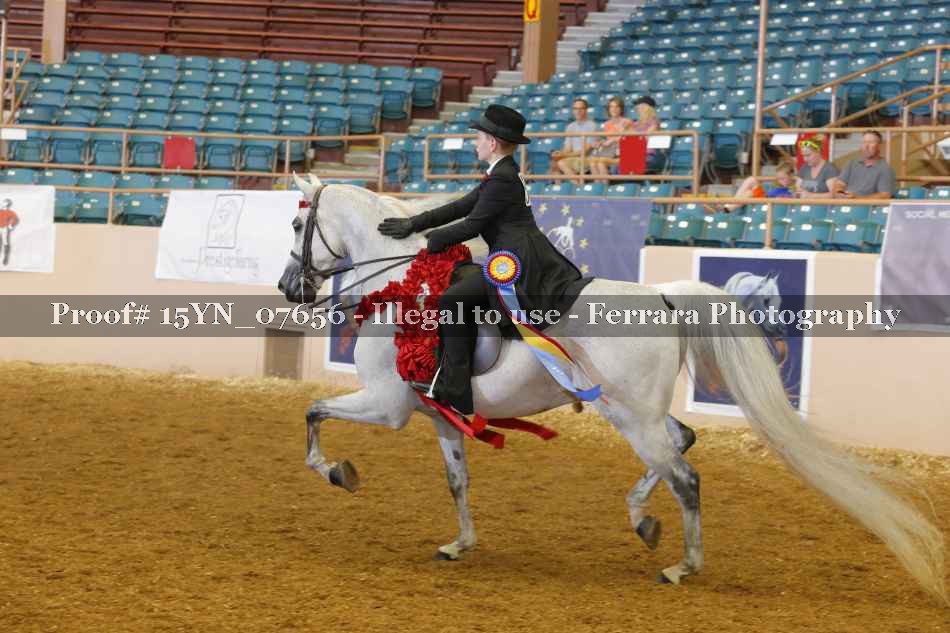 Proof 15YN_07656