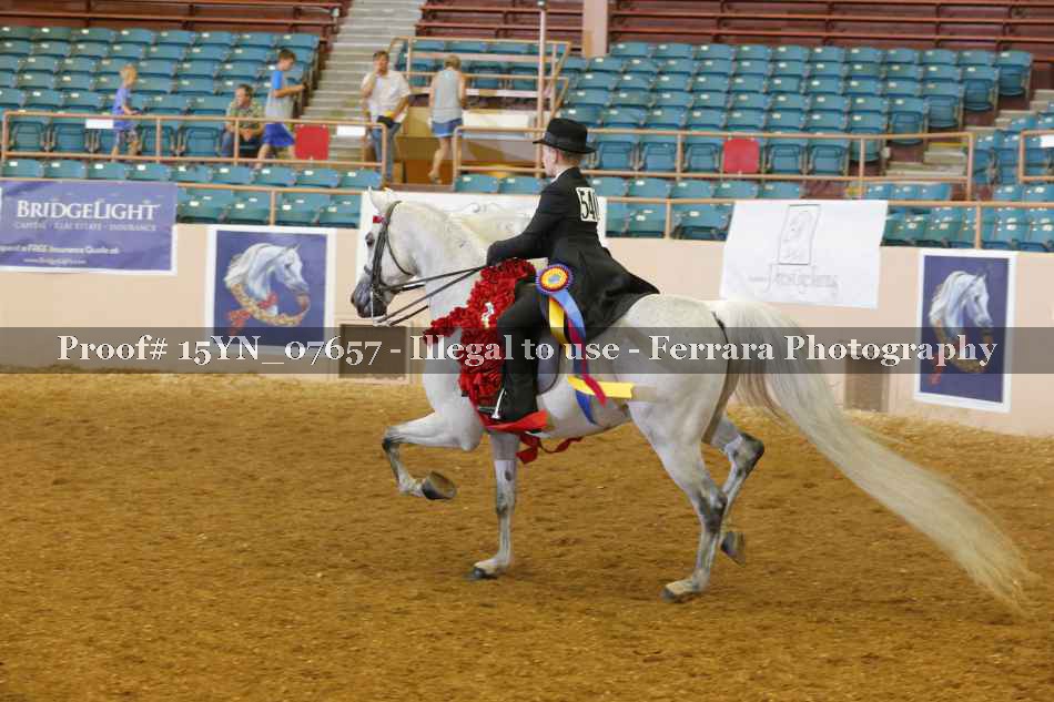 Proof 15YN_07657