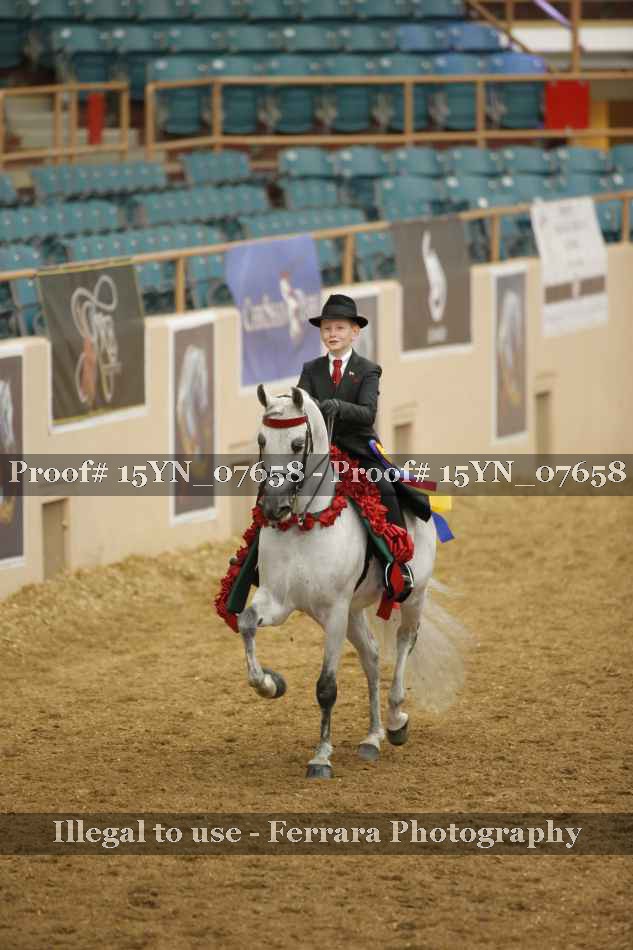 Proof 15YN_07658