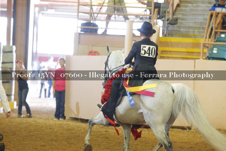 Proof 15YN_07660