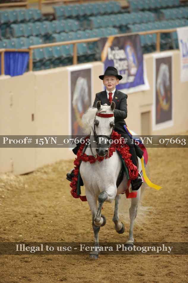 Proof 15YN_07663