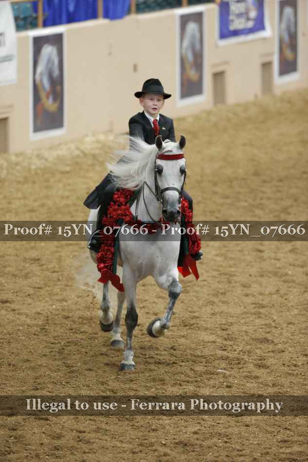 Proof 15YN_07666