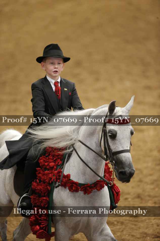 Proof 15YN_07669