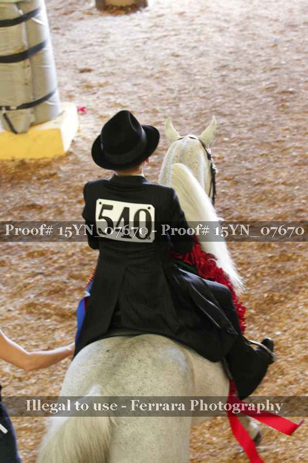 Proof 15YN_07670