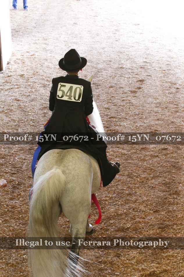 Proof 15YN_07672