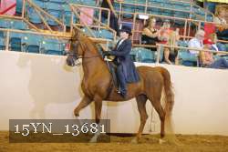 15YN_13681 proof