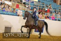 15YN_13715 proof