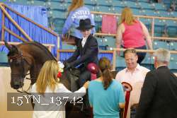 15YN_13742 proof