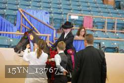 15YN_13767 proof