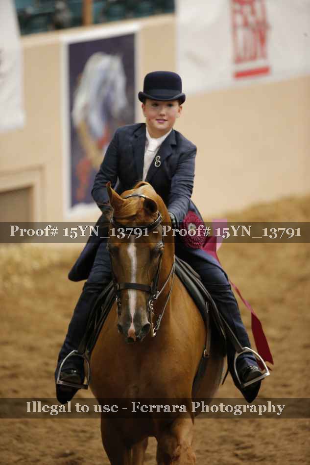 Proof 15YN_13791