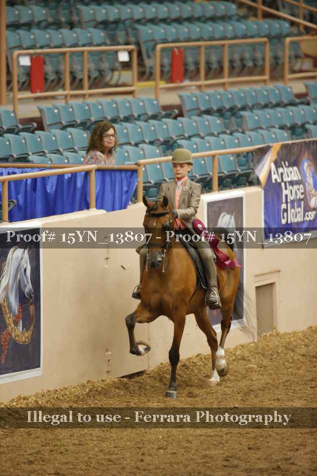 Proof 15YN_13807