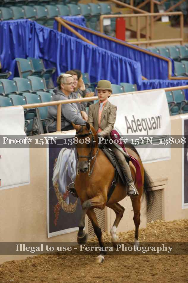 Proof 15YN_13808