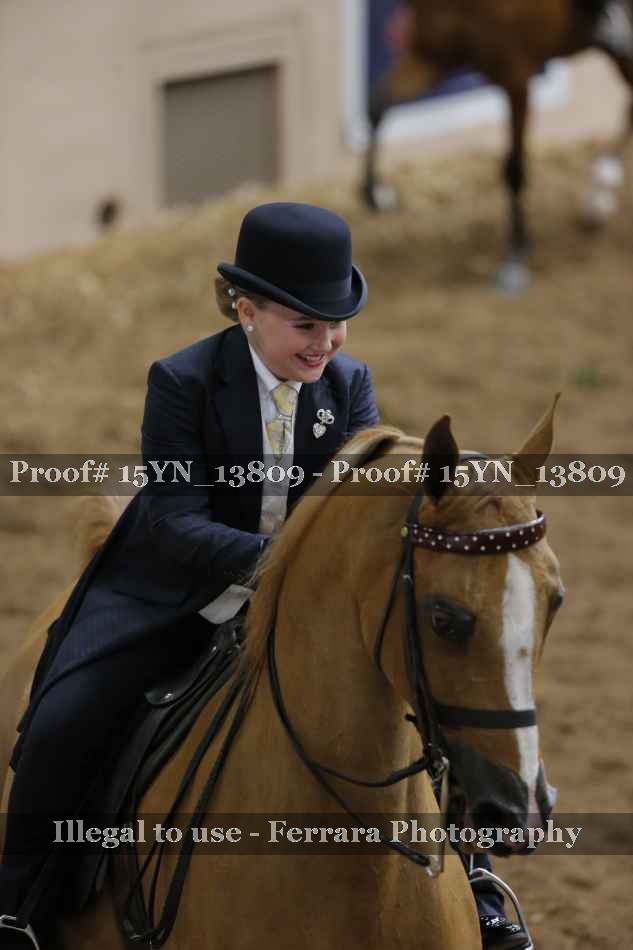 Proof 15YN_13809