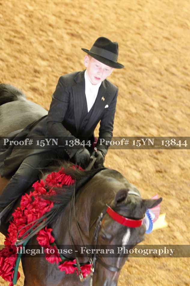 Proof 15YN_13844