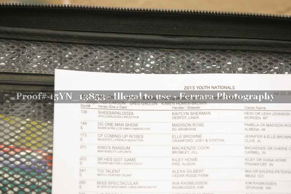 Proof 15YN_13853