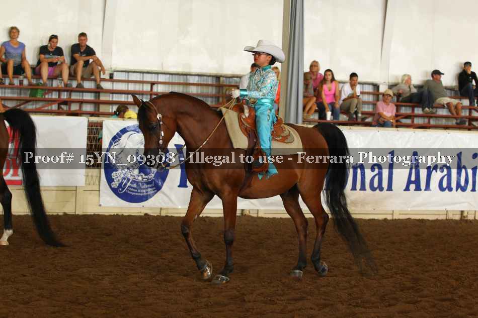 Proof 15YN_09308