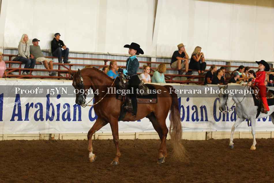 Proof 15YN_09314