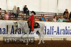 15YN_09315 proof