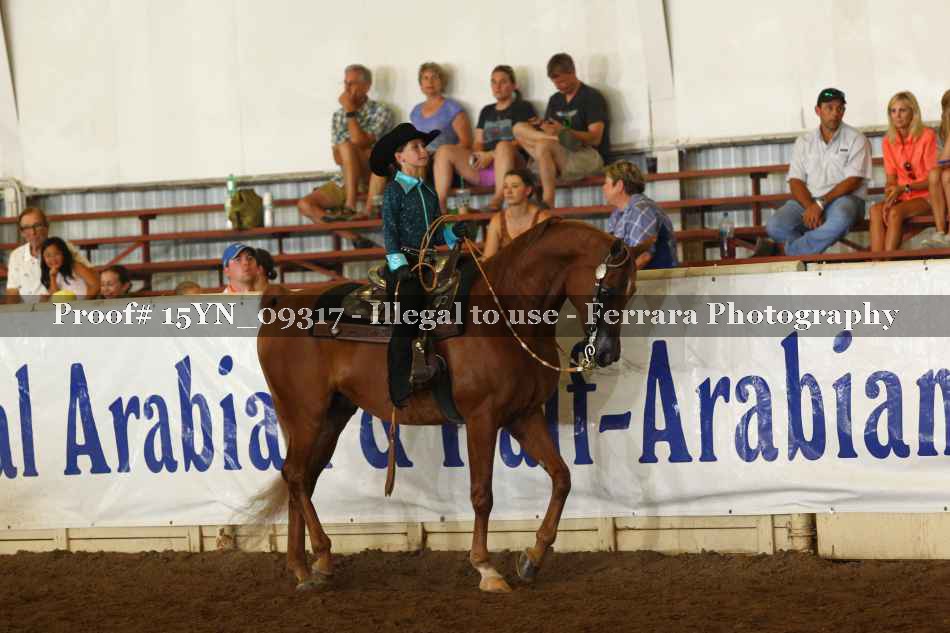 Proof 15YN_09317