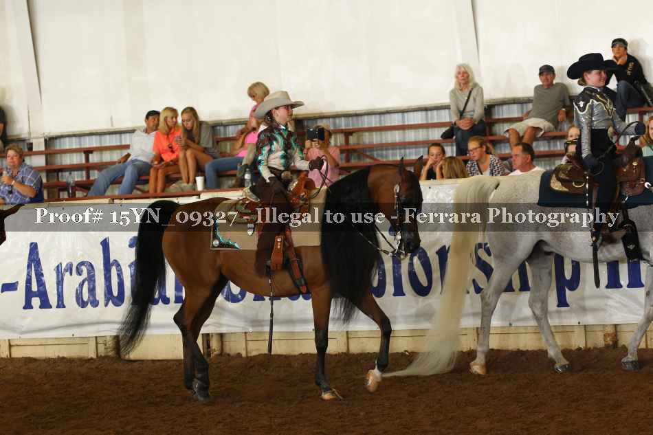 Proof 15YN_09327