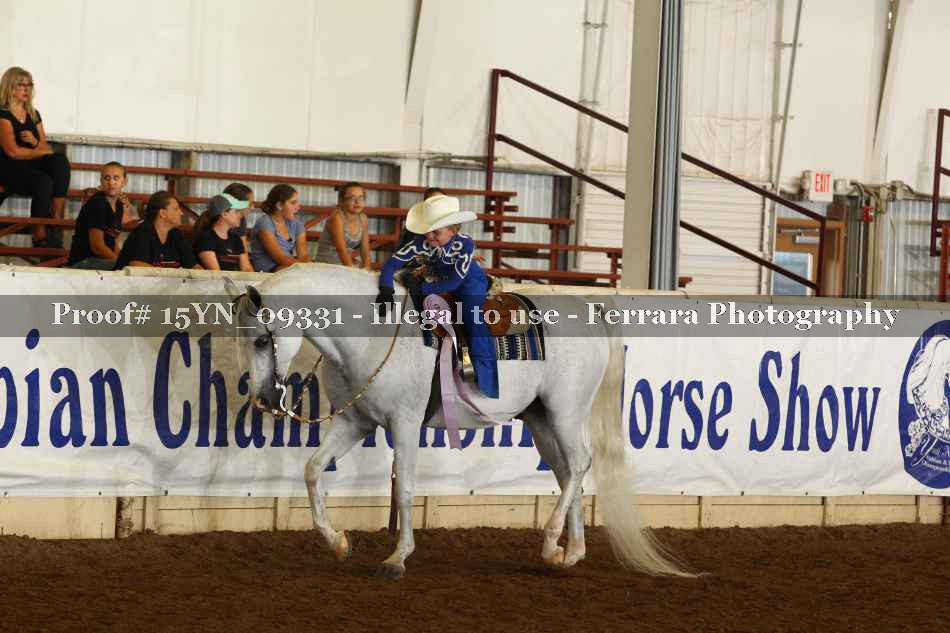 Proof 15YN_09331