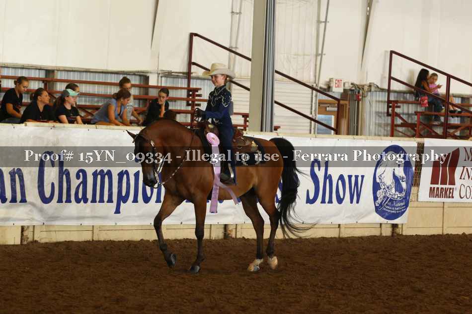 Proof 15YN_09334
