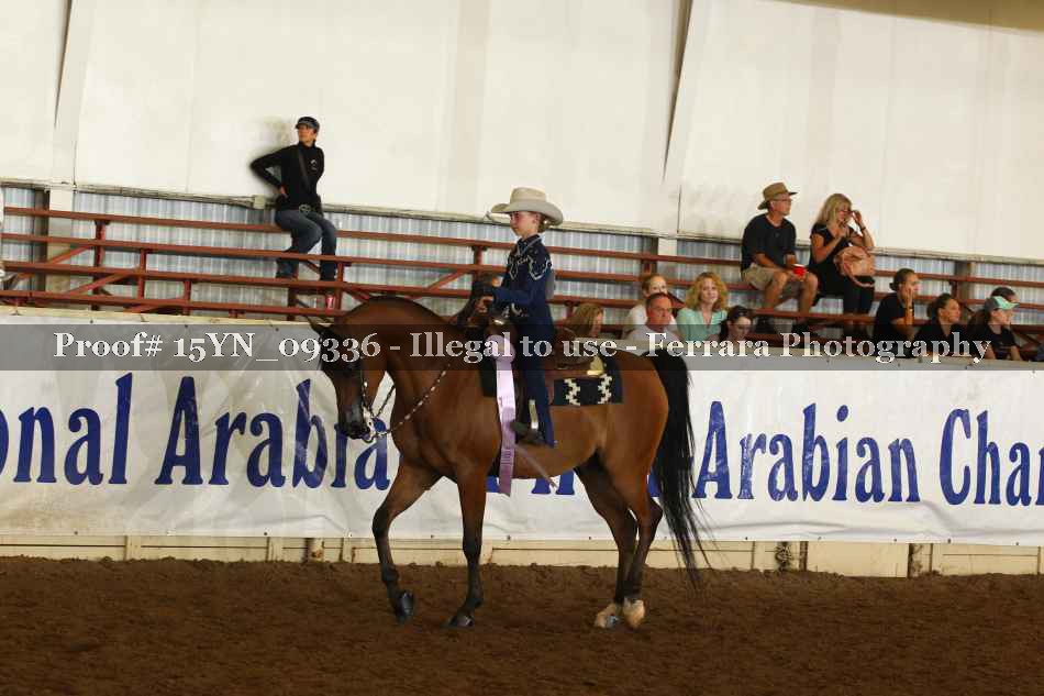 Proof 15YN_09336