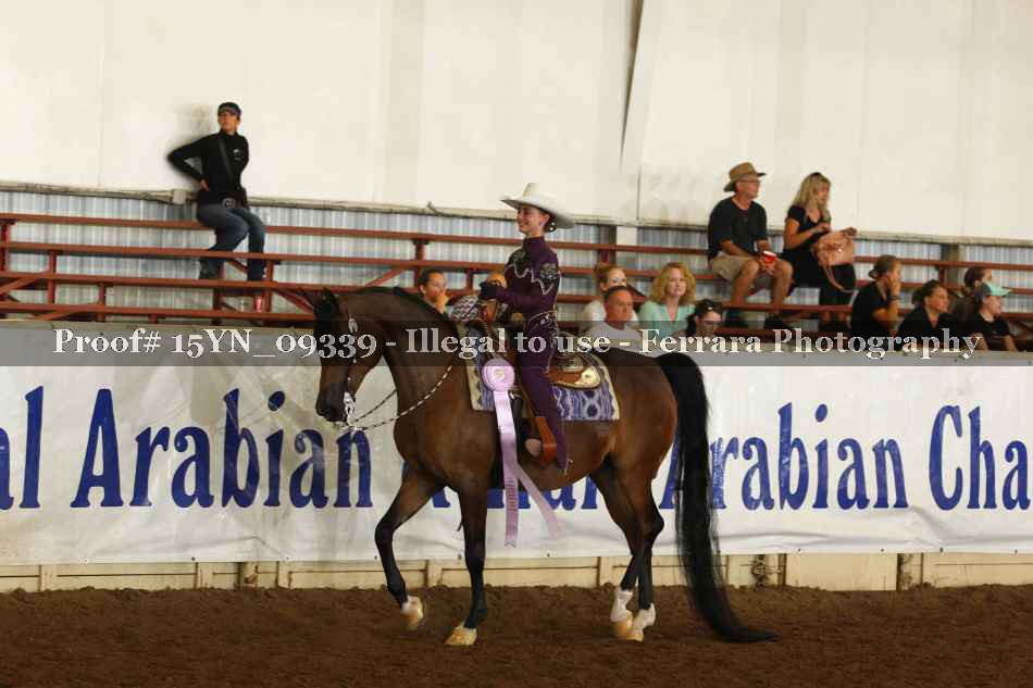 Proof 15YN_09339